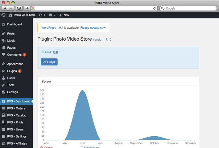 Photo Video Store WordPress plugin. Admin panel. Dashboard